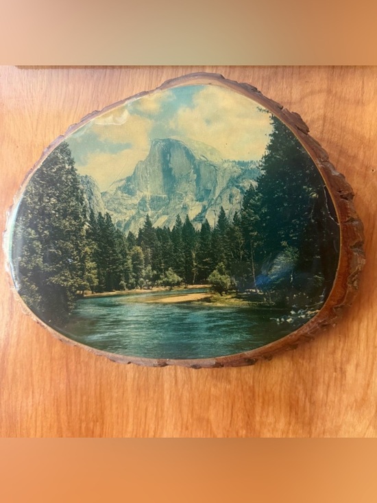 50 Special Plaque Other - 50 Special Plaque Yosemite Wood Slice Wall Art Half Dome Good 8.75in x 7.25in